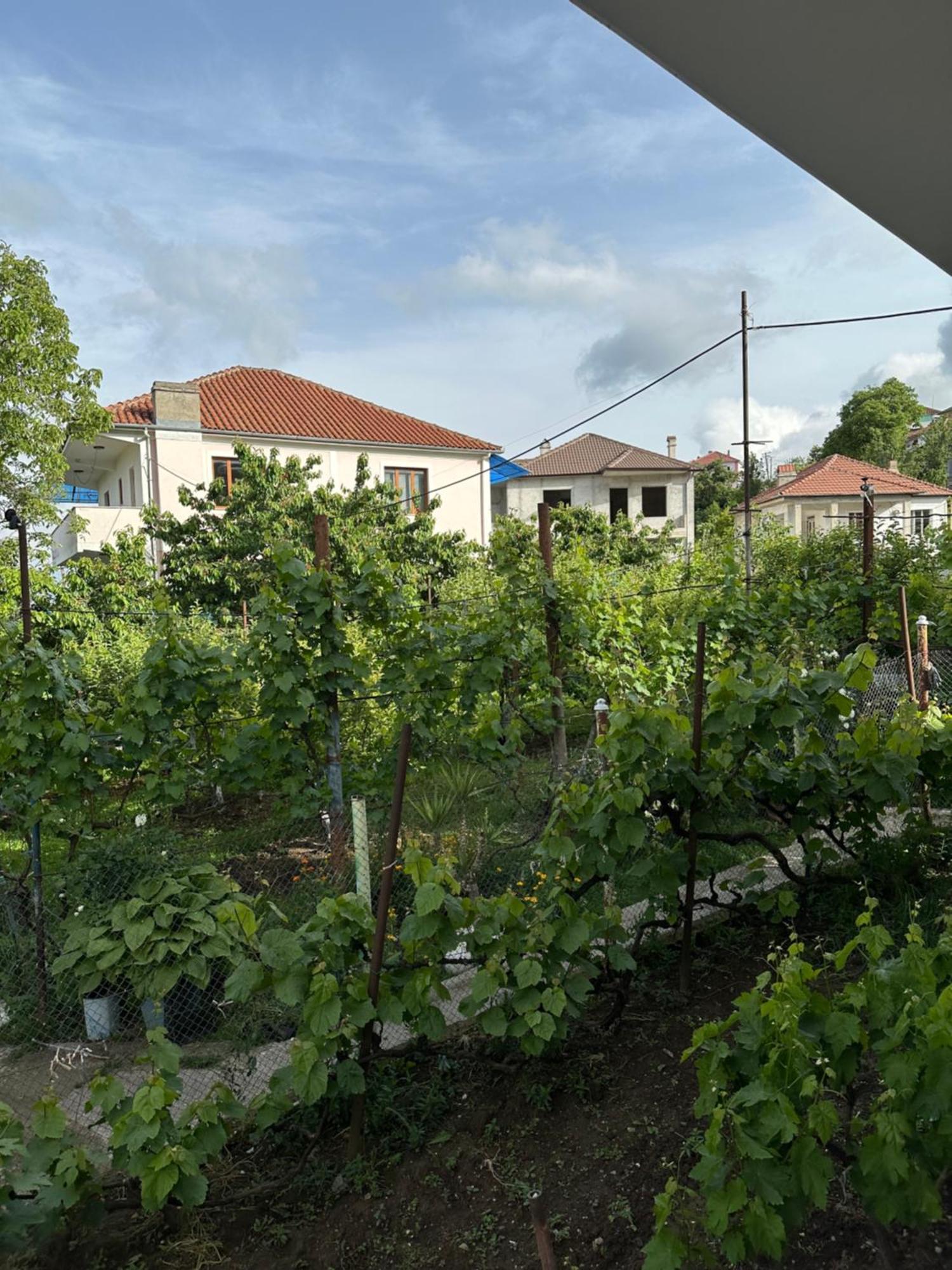 Apartment Stormi's Pogradec